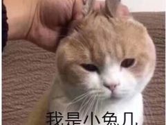 -炭虎烤肉(桂林路店)