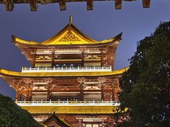 -杜甫江阁