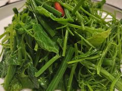 丝瓜苗-萃華楼(王府井店)