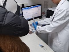 -瑞派天使宠物医院·神经外科·骨科·核磁CT(洛川中路店)