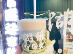 -猫的魔法密林(衣裳街店)