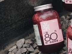 满瓶多肉桑-喜茶(广州北京路惠福东店)