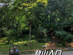 -紫金山山顶公园
