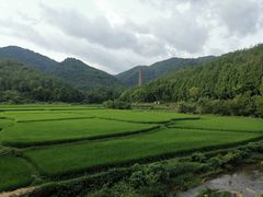 -花麦地溪边小厨(天台国清寺入口店)