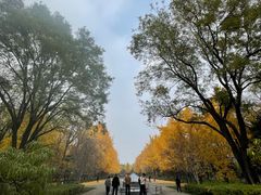 -玲珑塔公园