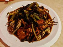 -杨氏青龙虾·羊蝎子(珠江路店)