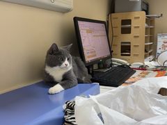 -芭比堂动物医院·犬猫全科·异宠专科(雁塔分院)