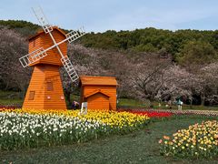 -苏州上方山国家森林公园