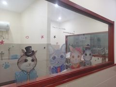 -瑞鹏宠物医院·骨外科·心肾科·肿瘤科(九亭店)