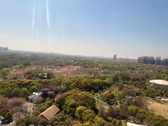 -自然谷恐龙园