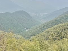 -莫干山风景区
