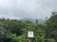 -尖沙咀
