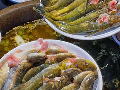 -石锅苗苗鱼(武汉首店)