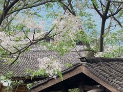 -土城古镇