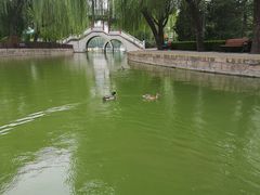 -团结湖公园