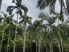 -中国科学院西双版纳热带植物园