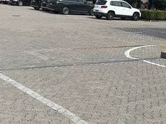 -丰顺驾校