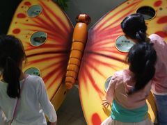 -上海昆虫博物馆