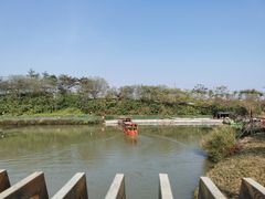 -江门古劳水乡旅游区