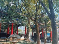 -华雅花园大酒店