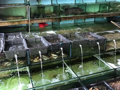 -民丰饭店(海丰黄江医院西)