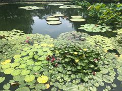 -国家植物园南园