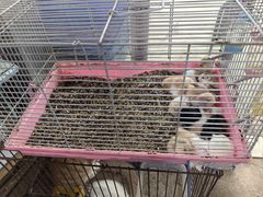 -双季花艺园艺市场(浦东店)