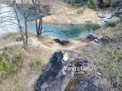 -广州市流溪河国家森林公园