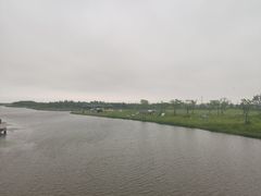 -春花秋色城市公园