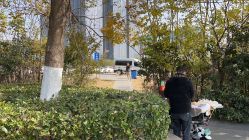 点击看大图 -南京市儿童医院(河西院区)
