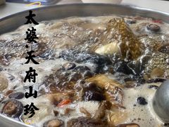 -太婆天府山珍酒楼(亚运村店)