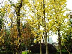 -三岔湖环球融创天堂洲际酒店水乐园