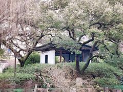 -墅园