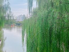 -南翠屏公园