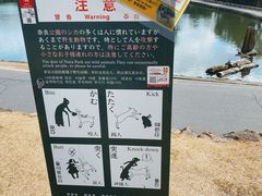 -奈良公园