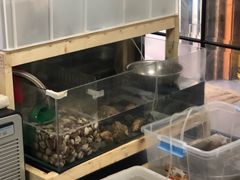 水产区-阿杰臻选海鲜饭店(普陀山店)