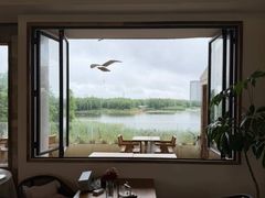 -艾溪湖湿地公园