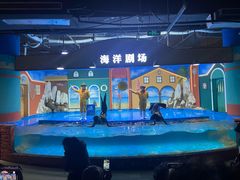 -重庆欢乐海底世界