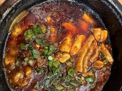 邵子牛脊髓-曾牛肉