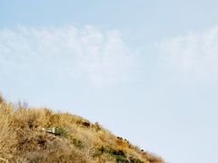 -长安文化生态公园