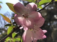 -瑞幸咖啡(凯德龙之梦莘庄店)