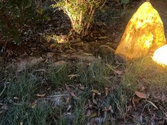 -大妙火锅·非物质文化遗产(东湖公园店)