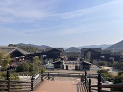 -大唐贡茶院