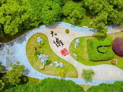 -菊花台公园