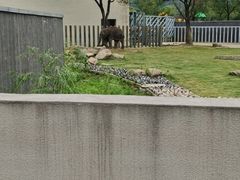 -上方山森林动物世界