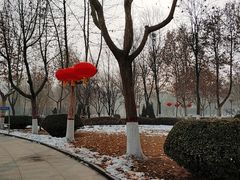 -裕华世纪公园