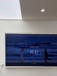 -北遇映画PHOTO GRAPHY STUDIO