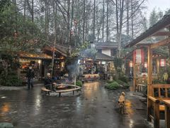 -青城甲(青城山店)