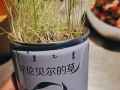 -很久以前羊肉串(簋街店)