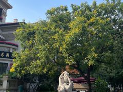 -天津意大利风情旅游区
